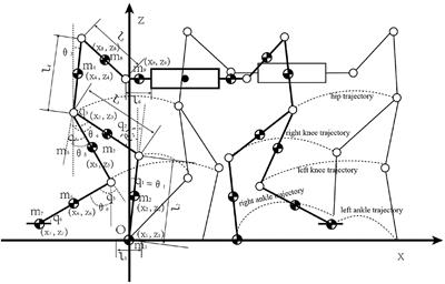 Humanoid Robot Cooperative Motion Control Based on Optimal Parameterization